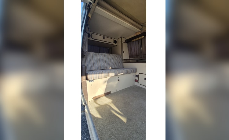 DANDY – VW T3 MITO SENZA TEMPO