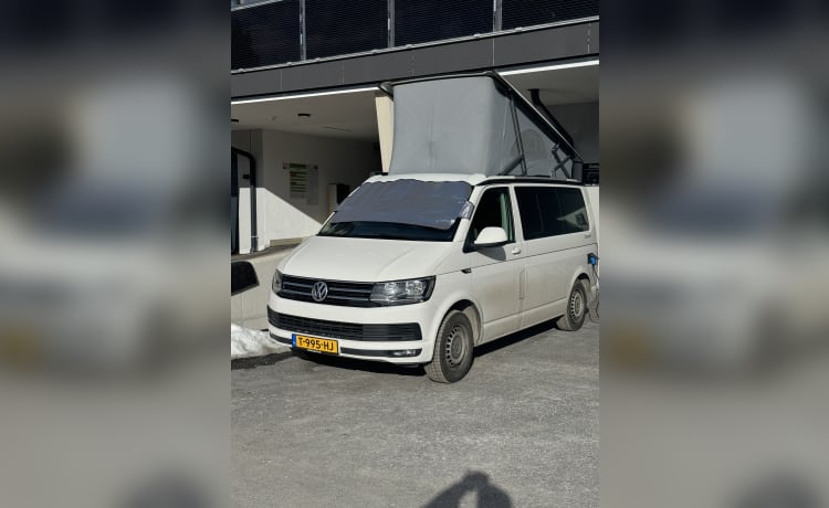 Cali  – Volkswagen California T6 (camper di fabbrica, originale)