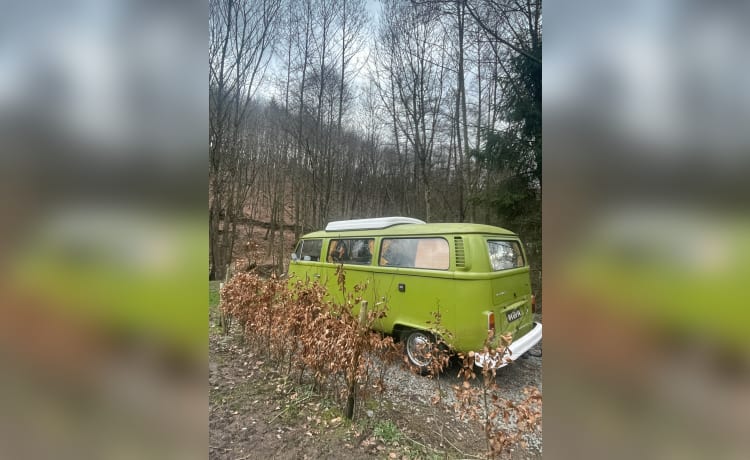 The Hulk – Westfalia – Bellissimo camper classico in affitto! 