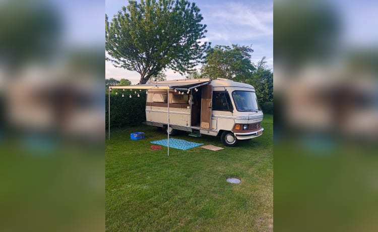 de Bruine Beer/Brownie – Mercedes Hymer integrated uit 1983 