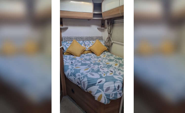 Dave – 4 berth Bailey semi-integrated from 2019