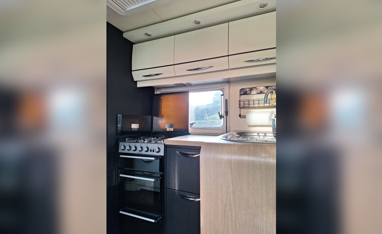 Bear on the road – Luxe 7-persoons camper