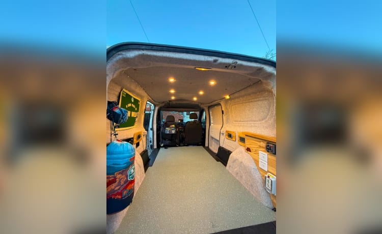Polly – Simple van Simple adventures