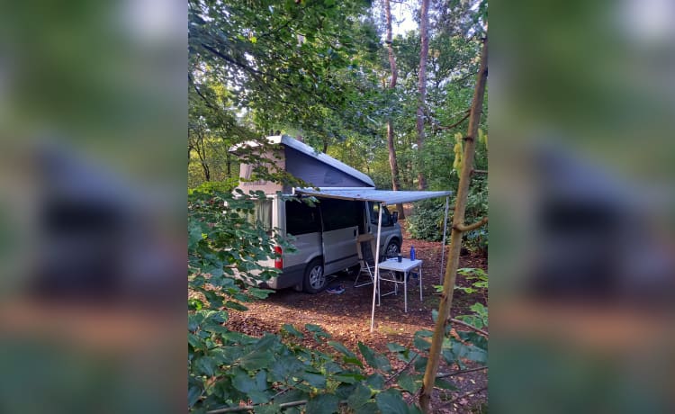 Ultimatives Outdoor-Abenteuer // Ford Nugget, Westfalia