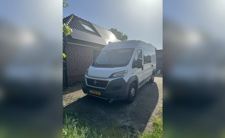 Very neat self-built 2p Fiat Ducato bus from 2016 