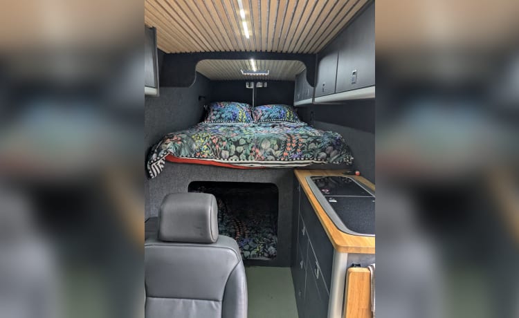 Sobo Sprinter – 4 berth Mercedes-Benz bus from 2013