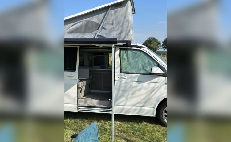 Cali  – Volkswagen California T6 (camper di fabbrica, originale)