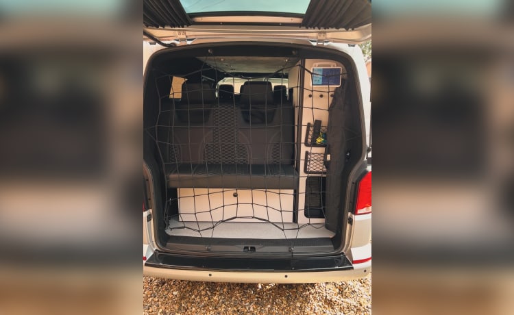 Volkswagen Transporter T6.1 2021 mit 5 Schlafplätzen! 