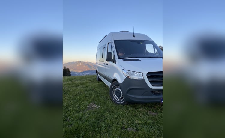 Samz – 2p Mercedes-Benz bus uit 2019