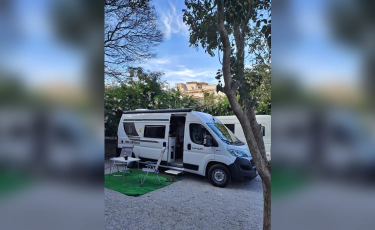 Camper4spain – 2p Benivan Fiat 2021 Sud de l'Espagne, Malaga. VOLER ET CONDUIRE
