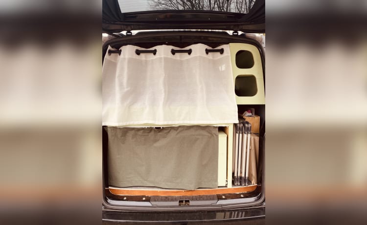 Fillmore  🚐  – Volkswagen T6 - 2018 - automaat - 2p