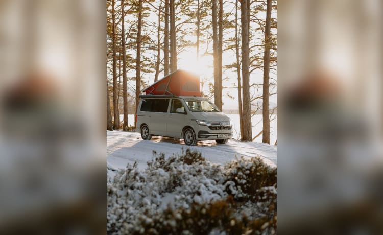 Camper Volkswagen a 4 posti letto dal 2021