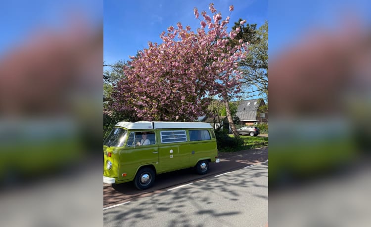 Joyo – Direct het gevoel van vrijheid en vakantie! 4p Volkswagen T2 uit 1976 