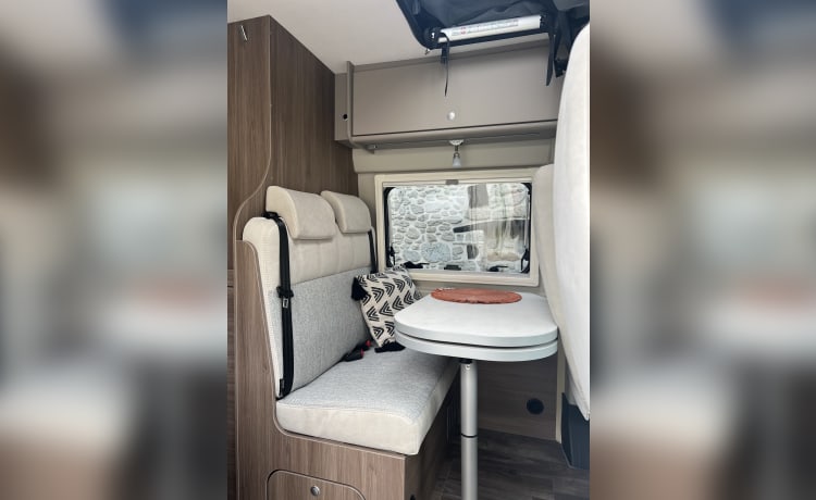 Bonny – 4p Carado campervan from 2024