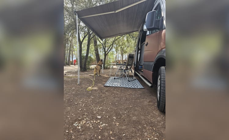 Copbus Rusty – Camping-car à construire soi-même pour 2 personnes - Mercedes-Benz Sprinter 2007