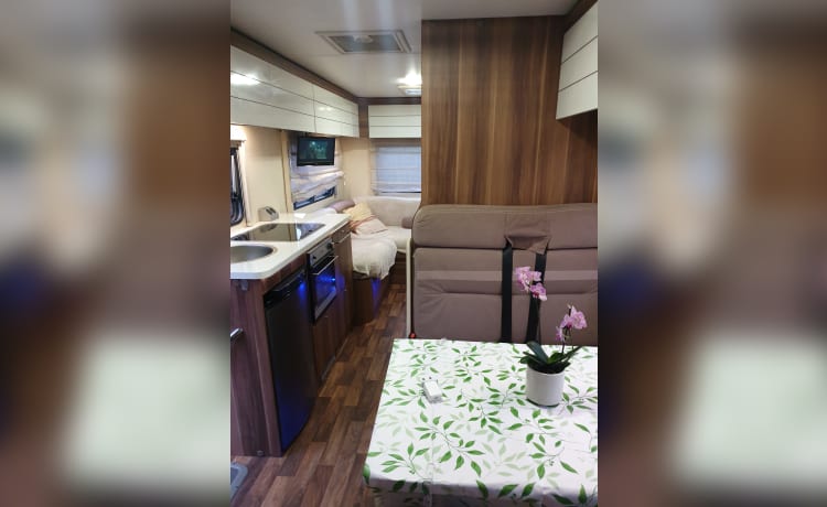 Rolly – 6 berth Roller Team alcove from 2015