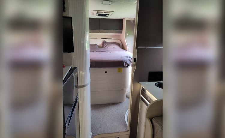 Welcome to our Chausson semi-integrated