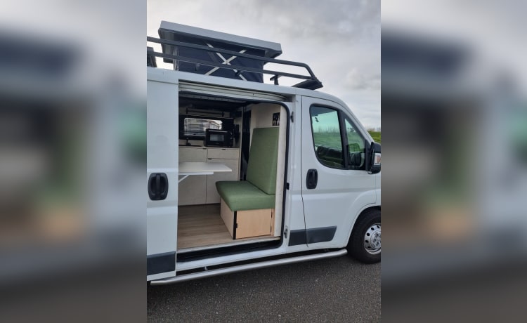 Lux – 2p Peugeot bus uit 2012