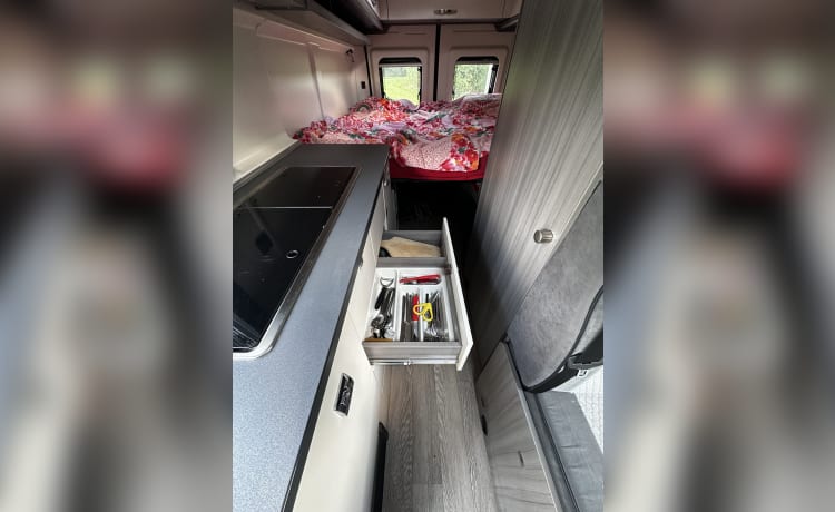 Hobby – 3p Fiat campervan uit 2021