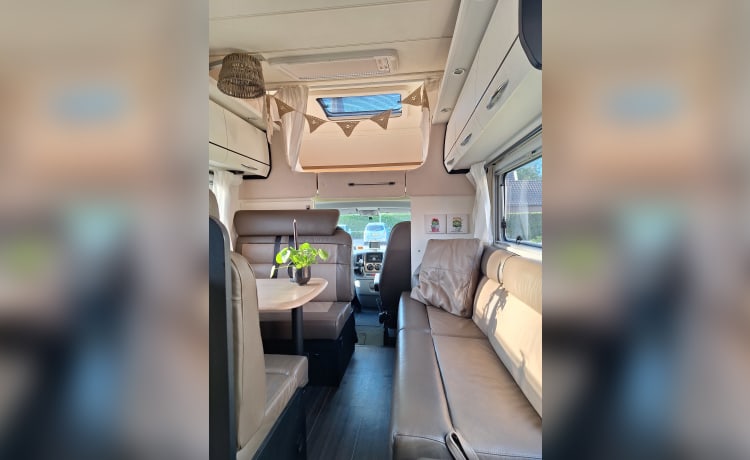 Bear on the road – Luxe 7-persoons camper