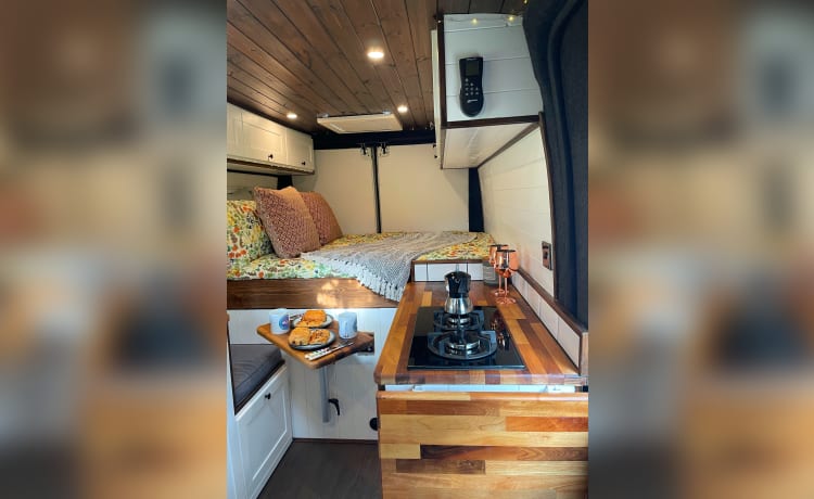 Penny – LWB-camper met twee slaapplaatsen - Fiat Ducato