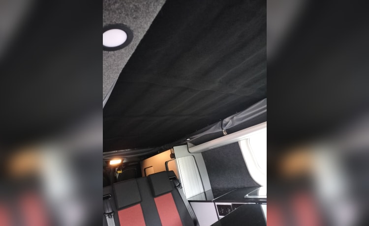 Camping-car Fiat 2p de 2017