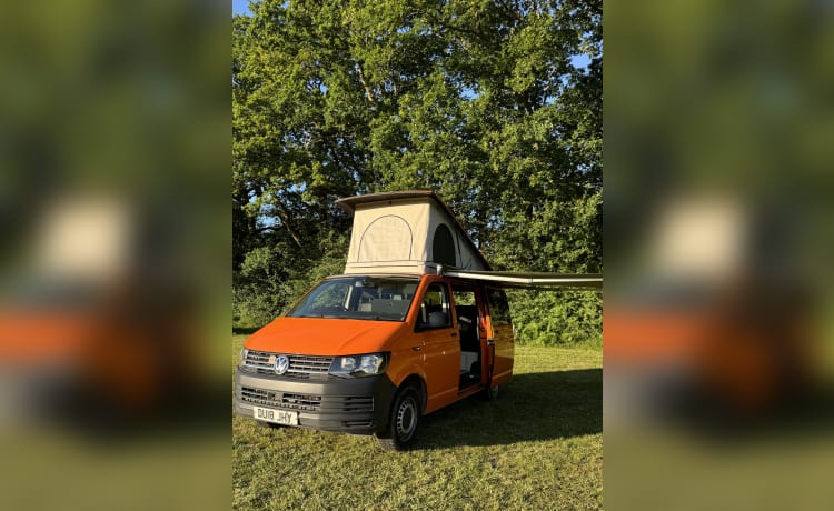 Van Tropez – New Conversion! Automatic VW Transporter w/5 seats