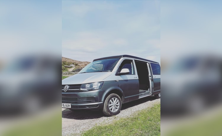 4-persoons Volkswagen campervan uit 2016