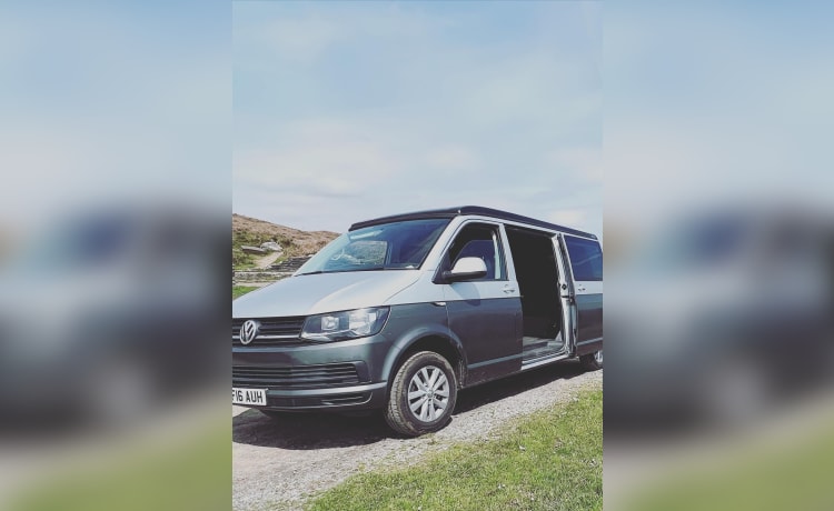 Camping-car Volkswagen 4 places de 2016