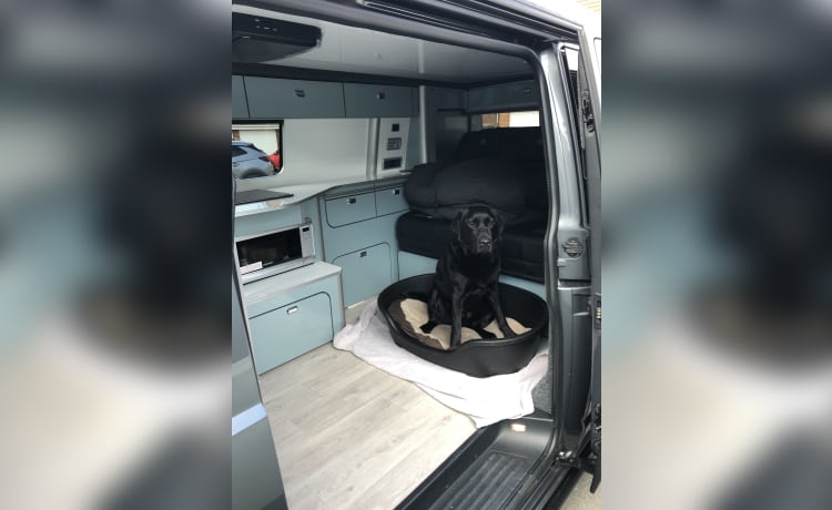 Coop – 4-persoons Volkswagen campervan uit 2019