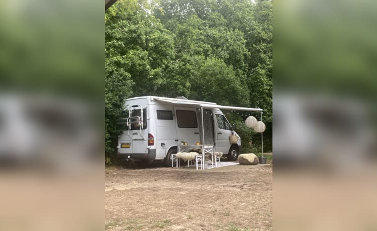 De Merrie – 2p Mercedes-Benz camper uit 1996