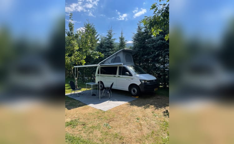 Achterhoeker 2 – Camping-car Volkswagen