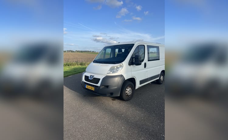 Baboon – 2p Peugeot bus uit 2013