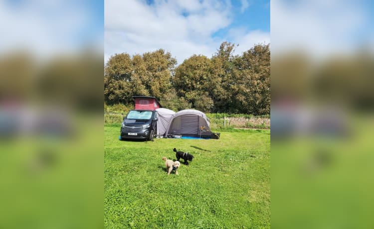 Vinny the Vivaro – 4 berth Other campervan from 2014