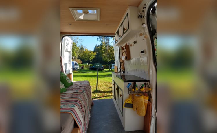 Ferdinand Ford – Camping-car Ford Transit de 2021 pour deux personnes.