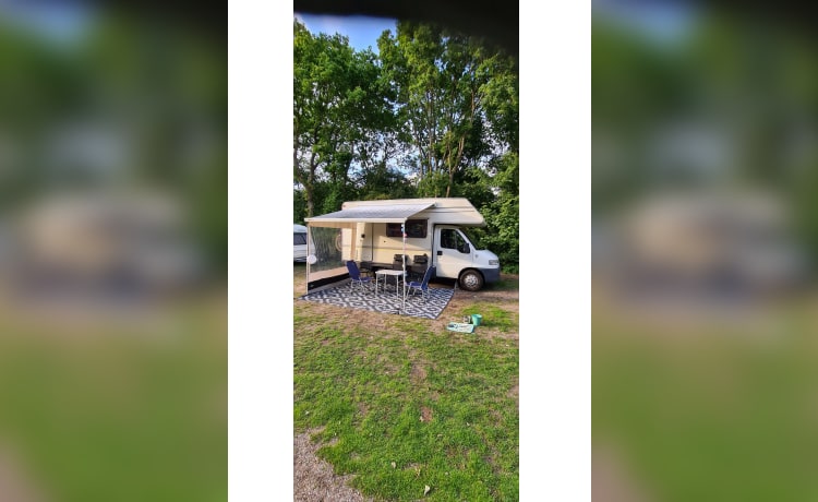 Schöner Familiencamper mit Etagenbett, Fiat Ducato 230 Alkoven von 1999