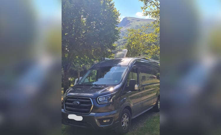 Mike – 2p Ford Transit (L3H2) uit 2022