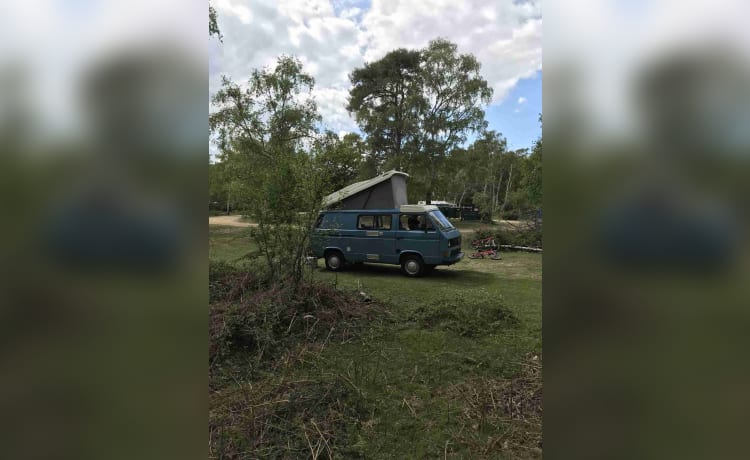 "Mya" - VW T25 classique