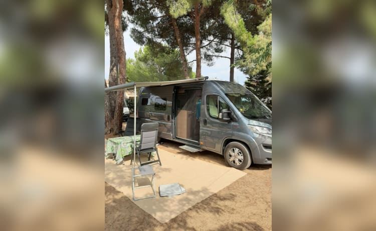 Lussuoso camper autobus HYMER 2p