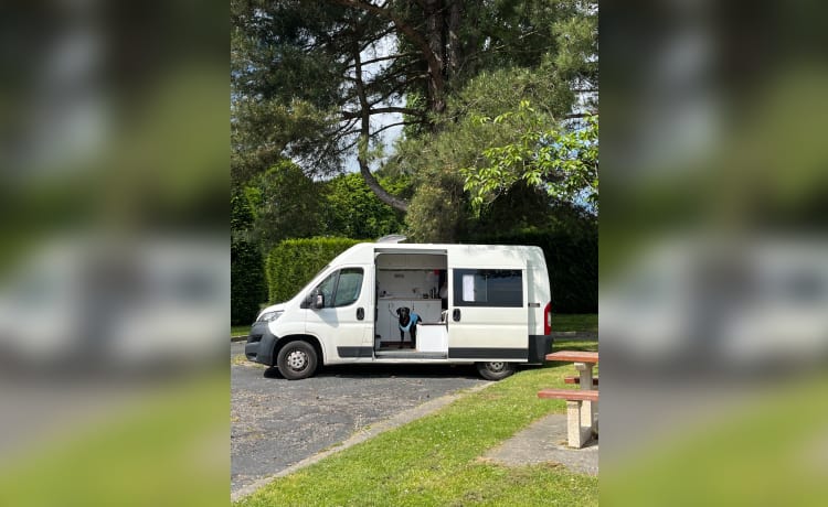 Betsy – 2 berth Peugeot campervan from 2018