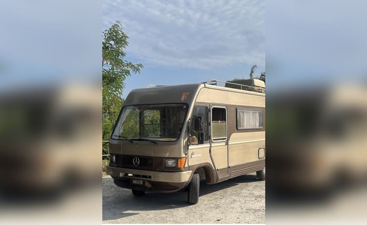 FREEDOM  – MOTORHOME VINTAGE ANNI 80 ORIGINALE