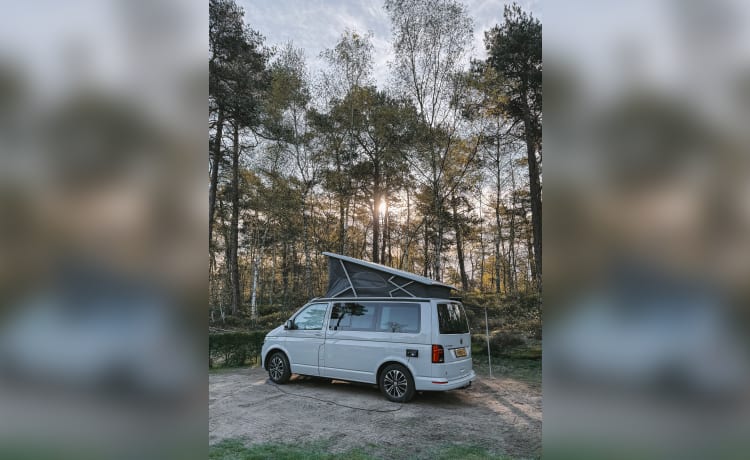 Volkswagen California ocean uit 2021