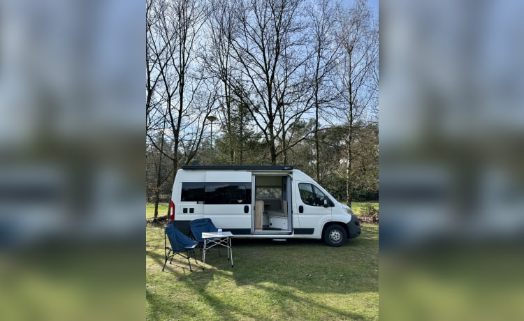 L3H2 Citroën bus uit 2018