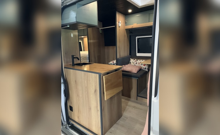 Heunie 2 – Wonderful bus camper from 2016 with longitudinal beds