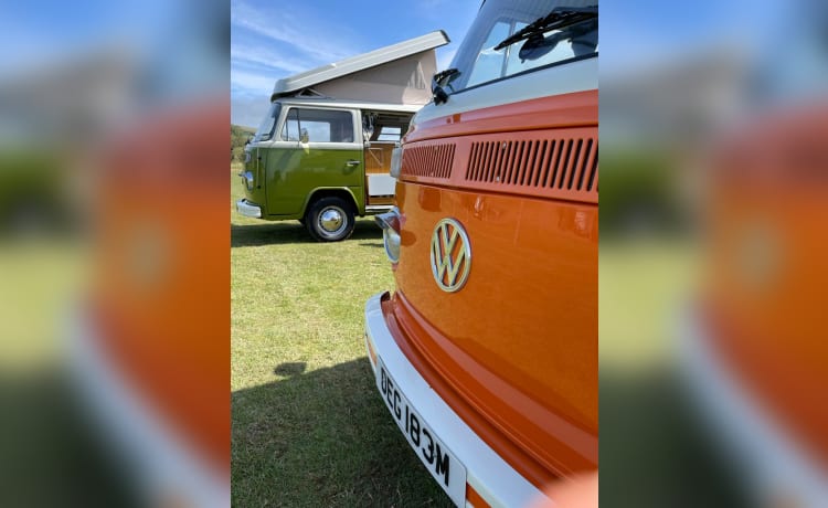 Blossom – Volkswagen campervan met 4 slaapplaatsen uit 1972