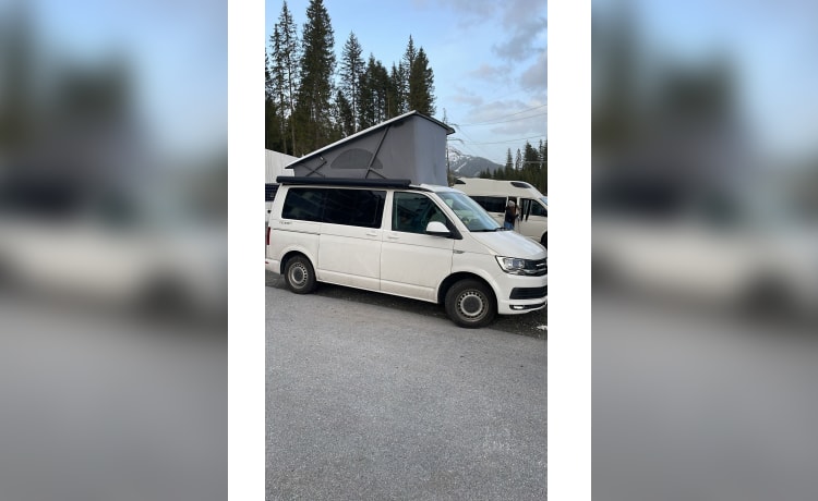 Cali  – Volkswagen California T6 (camper di fabbrica, originale)