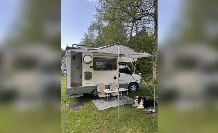 FREEDOM – Hippe Fiat camper voor 3 personen 🚐
