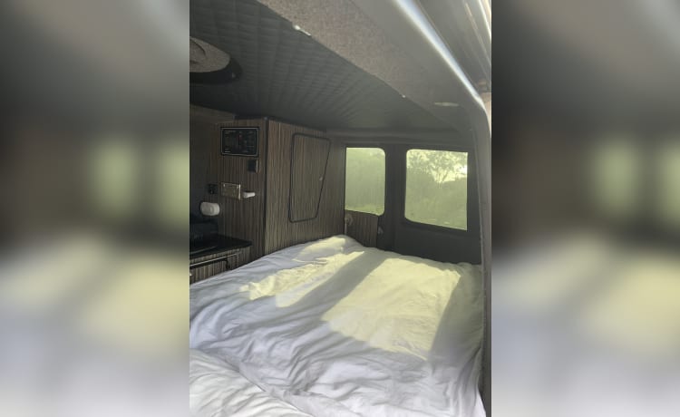 Dora – 4 berth VW Transporter Campervan 