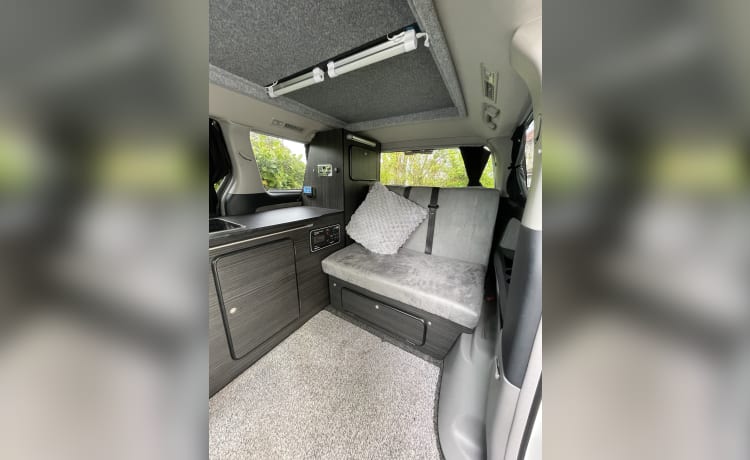 Alfie – Toyota Alphard, pop up roof & solar