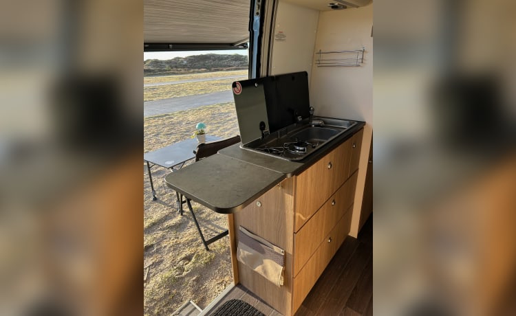 2p Fiat bus from 2017